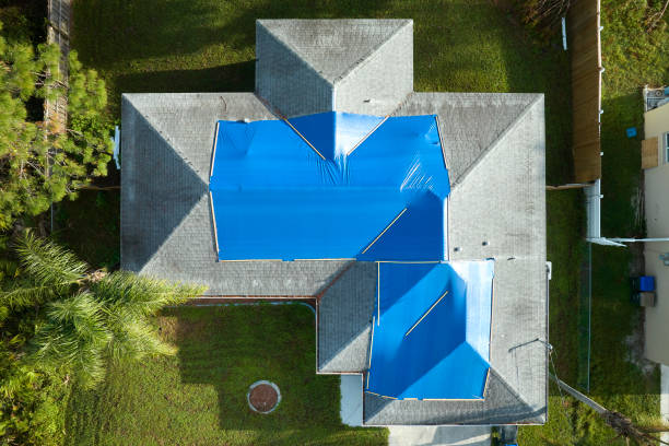 Best Roof Insulation Installation  in Pine Ridge, SD