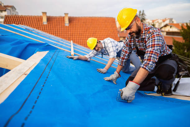 Best Sheet Metal Roofing  in Pine Ridge, SD