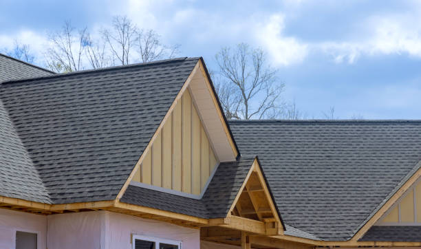 Best Roof Leak Repair  in Pine Ridge, SD