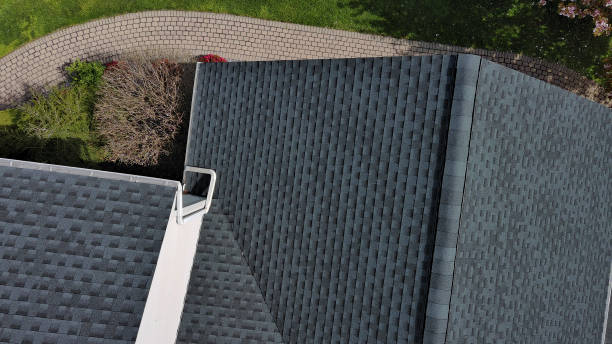 Best Commercial Roofing Services  in Pine Ridge, SD