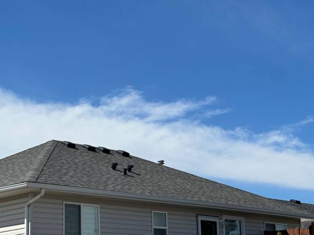 Best Commercial Roofing Services  in Pine Ridge, SD