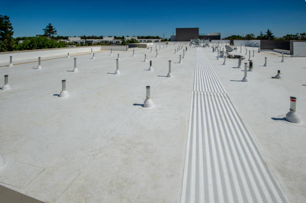 Best Metal Roofing Installation  in Pine Ridge, SD